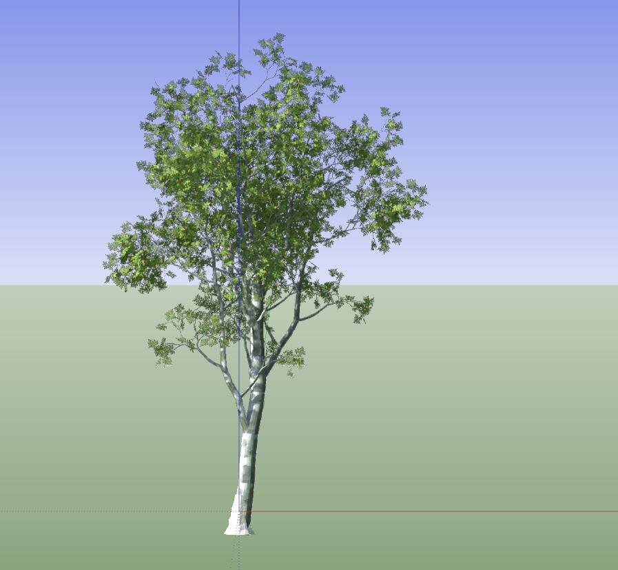 SU植物组件模型 (2)-1