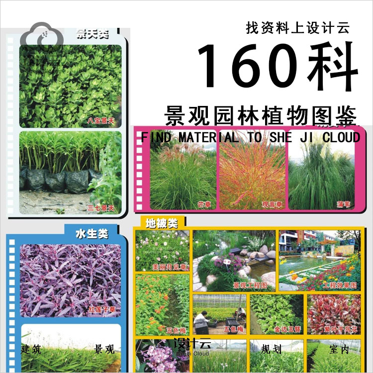 【第1028期】160科景观园林植物图鉴-1