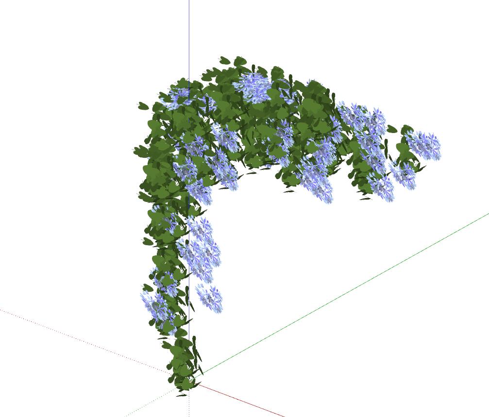 藤蔓植物 (9)-1