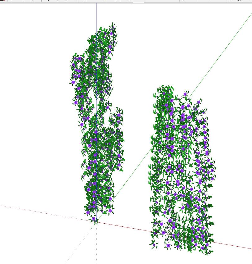 藤蔓植物 (10)-1