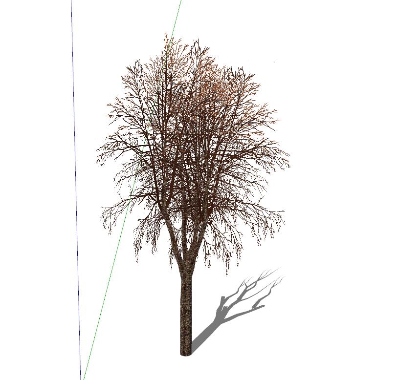 枯树冬季树 (4)-1
