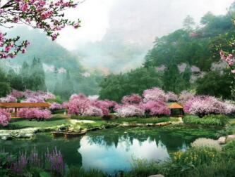 [云南]樱花园特色旅游观光产业园景观规划设计方案-1
