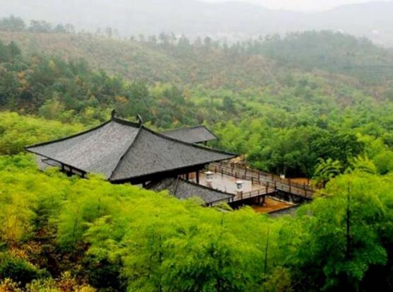 [浙江]湖州顾渚山茶文化旅游区景观概念规划方案（农业生...-1