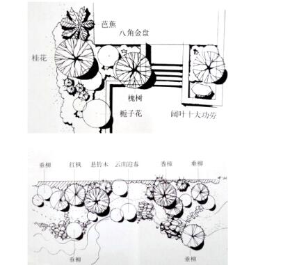 园林手绘练习素材汇总-1