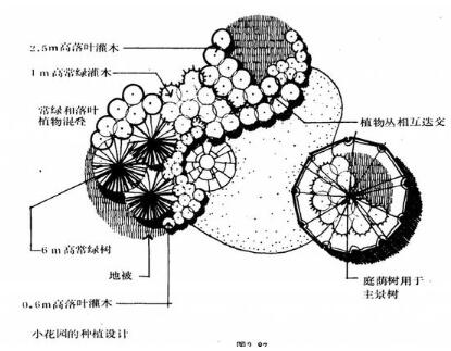 园林植物配置平面图学习资料，超级实用！-1