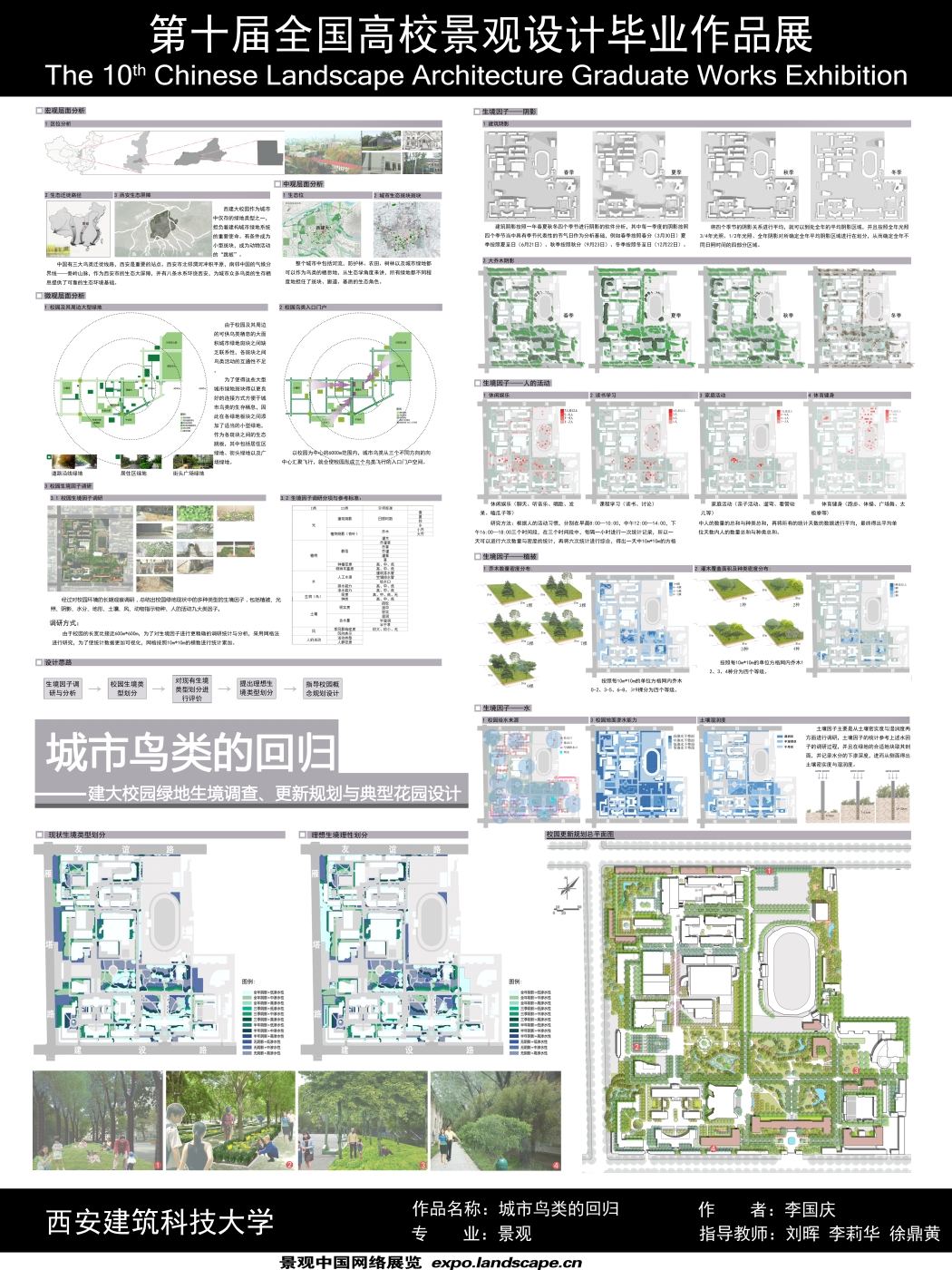 城市鸟类的回归-1