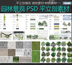 R444-PS规划建筑园林景观平面图立面图剖面图植物材质素材