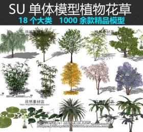 R443-sketchup园林景观植物花草乔木花卉盆栽庭院SU草图大师...