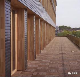 木材和砖的混合效应——法国里尔Tereneo办公大楼