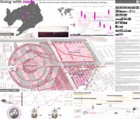 Living With Reeds—The life circle of reeds activates a series of wetlands i...