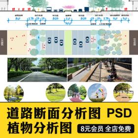 0374园林景观PS小清新植物分析图psd 乡村道路立面剖面分层...