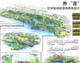 养”肾”——沱河宿州段湿地景观设计