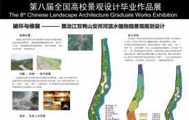 破坏与修复——黑龙江双鸭山安邦河滨水植物园景观规划...