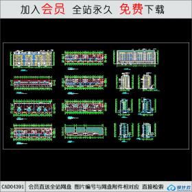 CAD04391 扬子名苑16#建筑施工图（平立剖）CAD