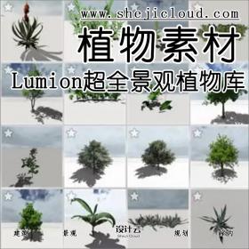 【第121期】Lumion超全植物景观模型素材库