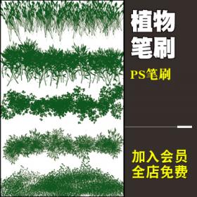 0166绿色植物效果画笔笔刷 广告特效创意绘画原创ps设计素...