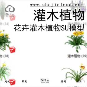 【3029】500套花卉灌木植物su模型B (1-50)