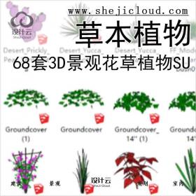 【5622】68套3D景观花草植物su模型-草本植物