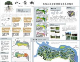 水景树——临海三江国家湿地公园总体规划