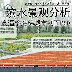 【6190】高逼格海绵城市剖面及滨水景观分析PSD