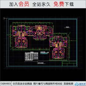 CAD04923高层住宅单体平面图.dwgCAD