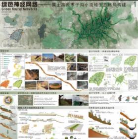 绿色神经网络—黄土高原枣子沟小流域生态格局构建