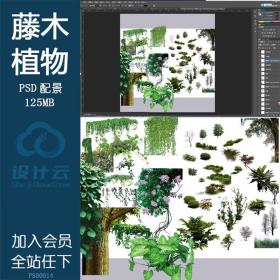 PS00014藤本植物灌木小树木ps源文件可编辑psd分层素材分析...