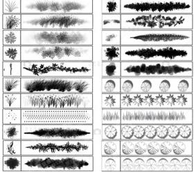 PS22- 素材花草树木 植物笔刷平面树草本植物景观原创设计...