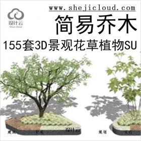 【5619】155套3D景观花草植物su模型-简易乔木