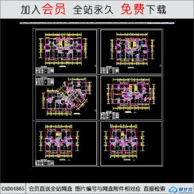 CAD04865 北京某超大住宅户型设计.dwgCAD