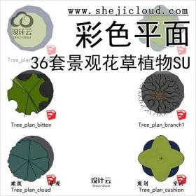 【5620】36套景观花草植物su模型-彩色平面