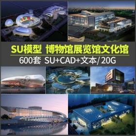 5303博物馆模型展览馆文化馆SU建筑设计方案文本CAD图书馆...