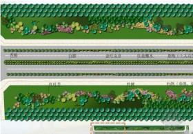 [宁波]经济技术开发区绿道环境设计方案