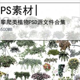 【0283】攀爬类植物PSD源文件合集效果图后期藤蔓垂直绿化