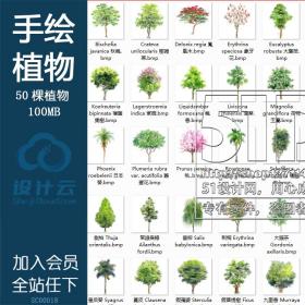 SC00018国外手绘风格植物景观配景图片JPG素材中英名称50树...