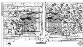 广场绿化设计总平面图