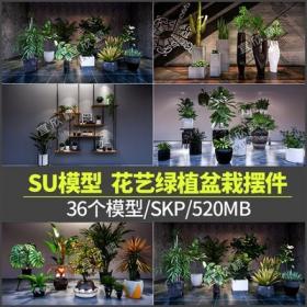 5302现代北欧花艺绿植盆栽组合摆件草图大师su植物素材sketc...