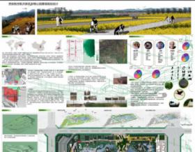 西安航空航天新区东湖公园景观规划设计—花田景观