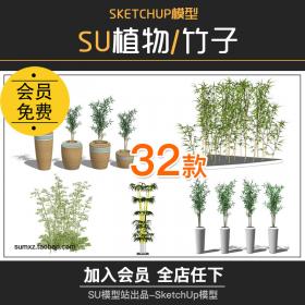 T275植物竹子毛竹竹林小品SU模型草图大师园林景观配景竹...