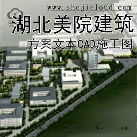 【9913】[湖北]美院建筑方案文本(CAD施工图)