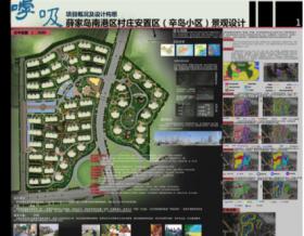 呼吸——薛家岛南港区村庄安置区景观设计