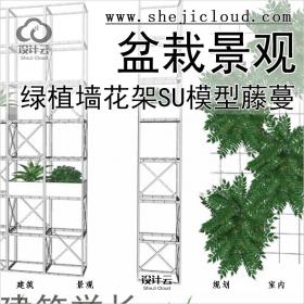 【081】超全绿植墙花架SU模型藤蔓垂直绿化墙盆栽草景观