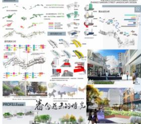 “眷念逝去的时光”—重庆张家花园历史文化街区环境更...