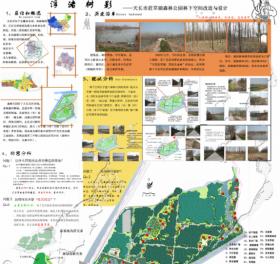 浮渚树影——天长市荭草湖森林公园林下空间改造和设计