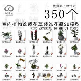 R796-室内植物盆栽花草装饰花瓶SU模型