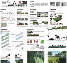 人鸟对望——泗河爱鸟生态湿地公园设计