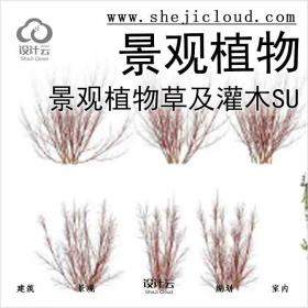 【3465】景观植物草及灌木su模型