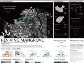 红树林复兴 ——海口湾公园景观规划设计