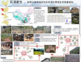 石漠新生——桂西北岩溶地区村庄石漠化景观生态恢复