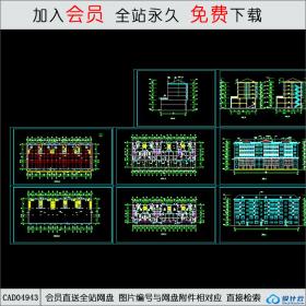 CAD04943 二层底商住宅楼方案图.dwg CAD